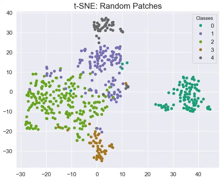 t-SNE Auswertung von zufälligen Patches