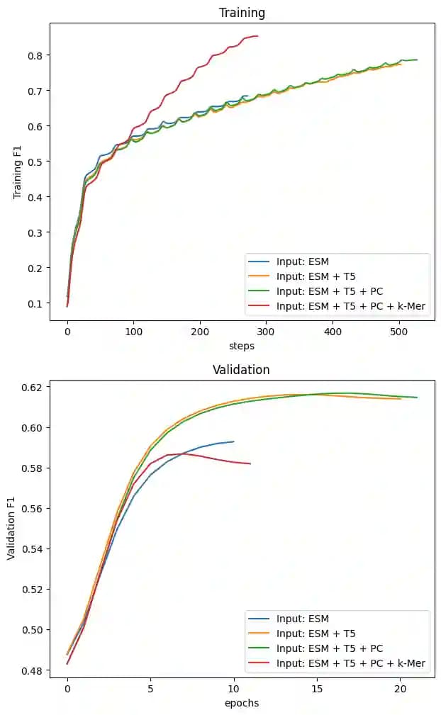 Trainingsverlauf des Multi Input Models mit Embeddings