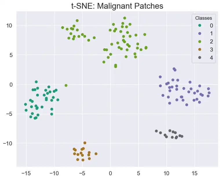 t-SNE Auswertung der malignen Patches