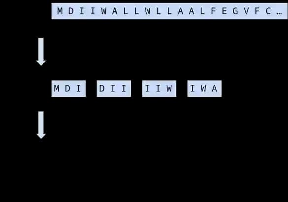 Prozess der k-Mer Generierung