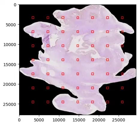 Extraktion der Patches aus einem Schnittbild