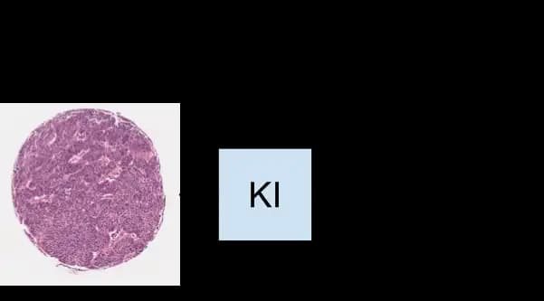 Überblick zu der Aufgabe der OCEAN Challenge