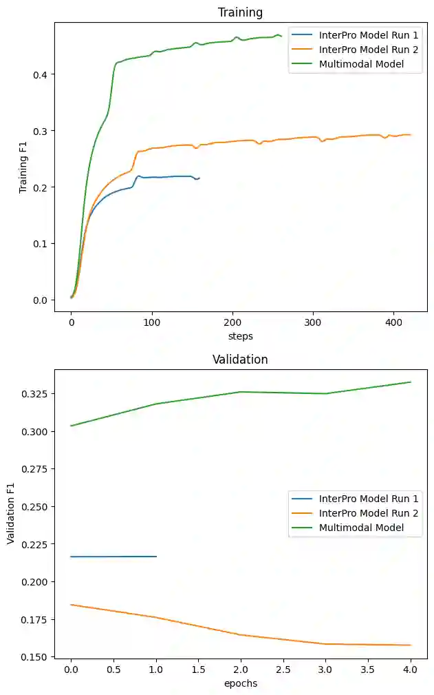 Diagramm zum Trainingsverlauf der neuronalen Netze. Gezeigt sind F1 Scores, aufgeteilt in Training und Validierung.