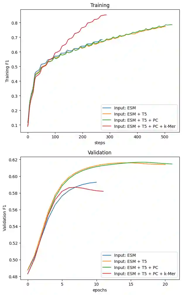 Diagramm zum Trainingsverlauf der neuronalen Netze mit Embeddings. Gezeigt sind F1 Scores, aufgeteilt in Training und Validierung.